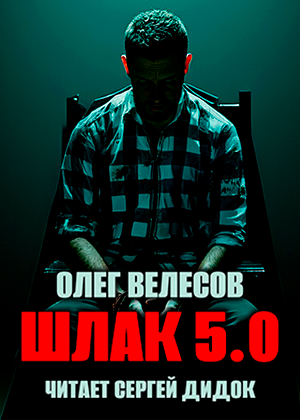слушать аудиокнигу  ШЛАК 5.0 цикла Мир Загона автор Олег Велесов (читает Сергей Дидок) на Story4.me